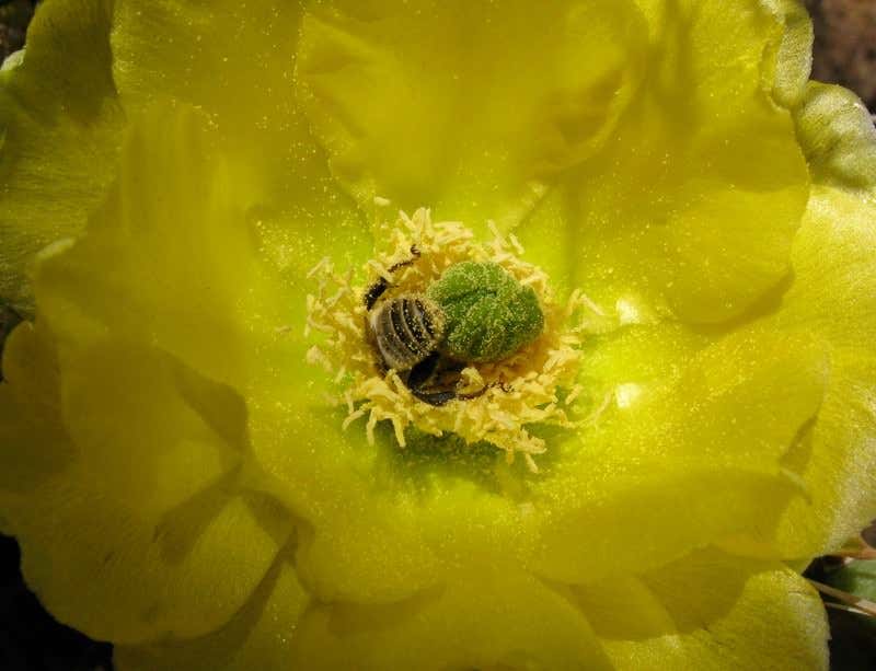 New Scientist. Science news and long reads from expert journalists, covering developments in science, technology, health and the environment on the website and the magazine.