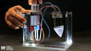 New Scientist. Science news and long reads from expert journalists, covering developments in science, technology, health and the environment on the website and the magazine.