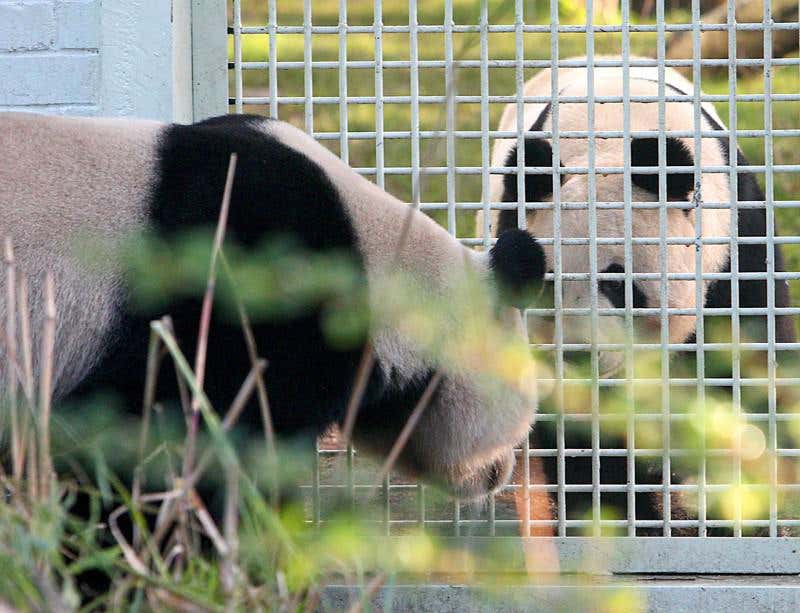 New Scientist. Science news and long reads from expert journalists, covering developments in science, technology, health and the environment on the website and the magazine.