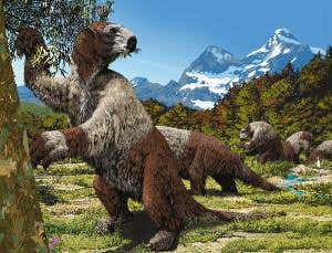 Ecosystems still feel the pain of ancient extinctions