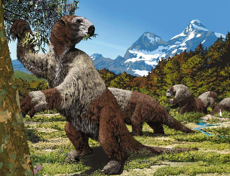 New Scientist. Science news and long reads from expert journalists, covering developments in science, technology, health and the environment on the website and the magazine.