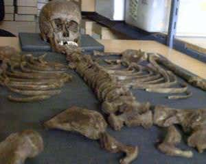 New Scientist. Science news and long reads from expert journalists, covering developments in science, technology, health and the environment on the website and the magazine.