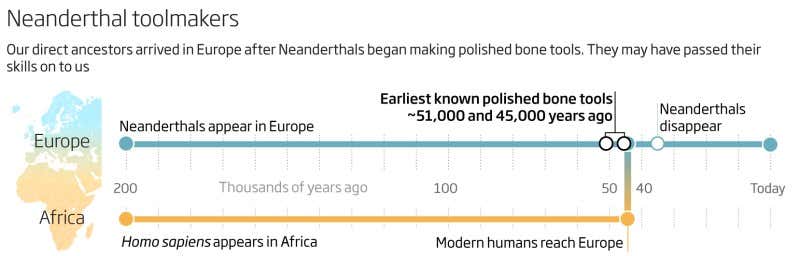 Neanderthal toolmakers 