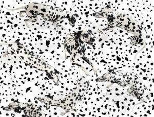 Words prompt us to notice what our subconscious sees