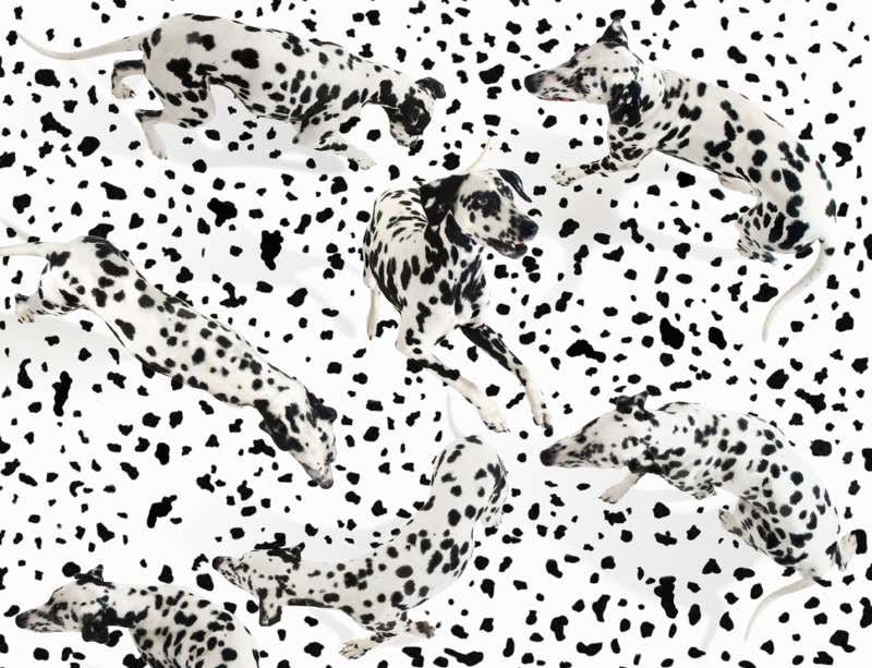 New Scientist. Science news and long reads from expert journalists, covering developments in science, technology, health and the environment on the website and the magazine.