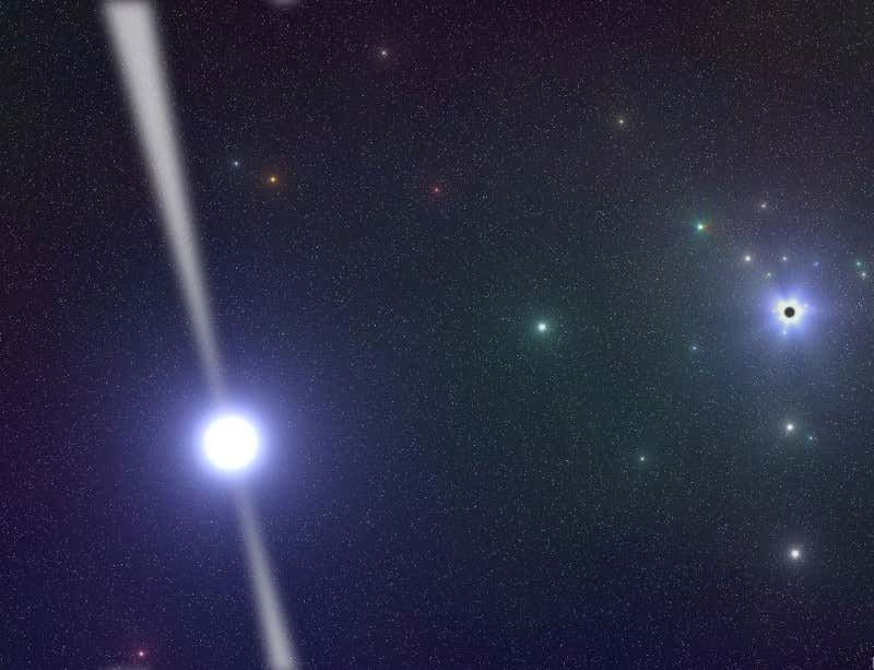 New Scientist. Science news and long reads from expert journalists, covering developments in science, technology, health and the environment on the website and the magazine.