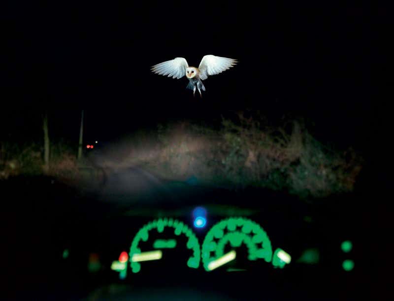 New Scientist. Science news and long reads from expert journalists, covering developments in science, technology, health and the environment on the website and the magazine.