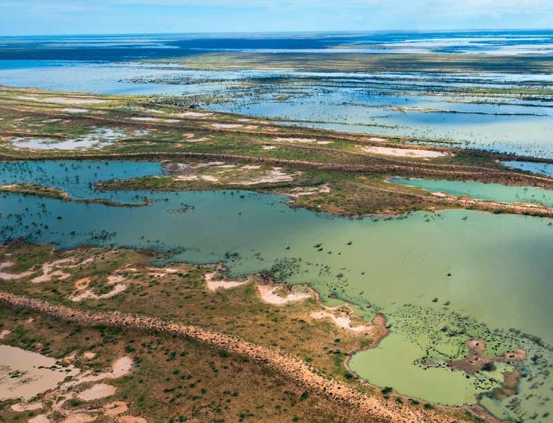 New Scientist. Science news and long reads from expert journalists, covering developments in science, technology, health and the environment on the website and the magazine.