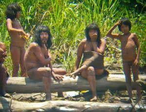 How many uncontacted tribes are left in the world?