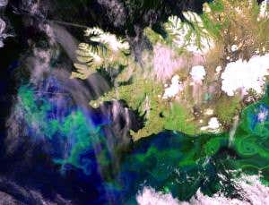 Acidifying oceans will heat the planet more