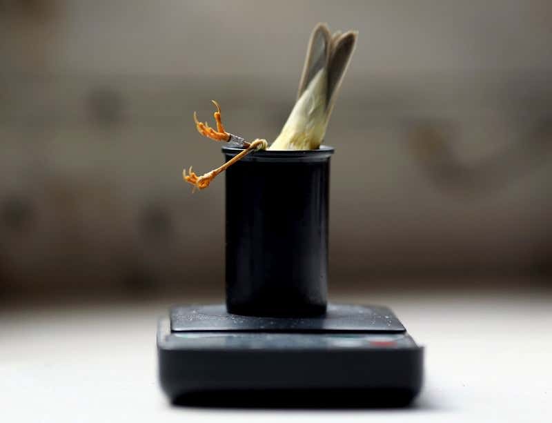 New Scientist. Science news and long reads from expert journalists, covering developments in science, technology, health and the environment on the website and the magazine.