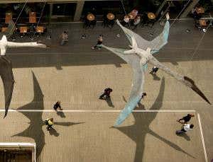 Pterosaurs deserve a place in the sun