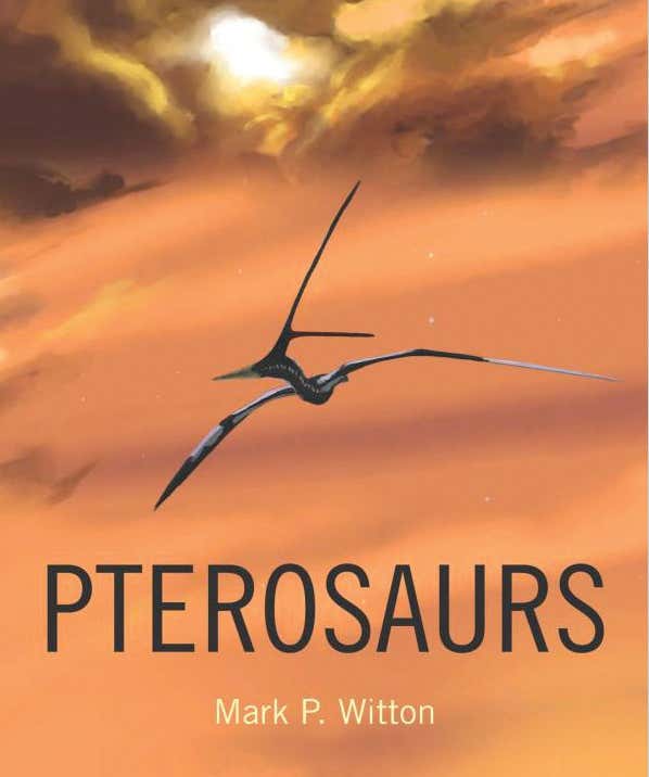 Pterosaurs deserve a place in the sun