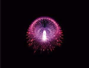 Not like us: Artificial minds we can't understand