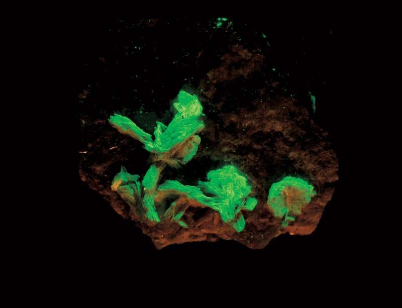 New Scientist. Science news and long reads from expert journalists, covering developments in science, technology, health and the environment on the website and the magazine.