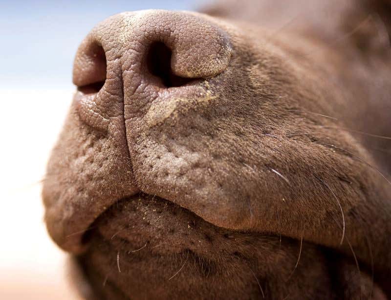 New Scientist. Science news and long reads from expert journalists, covering developments in science, technology, health and the environment on the website and the magazine.