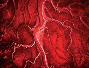 Exploring our love/hate relationship with Gaia