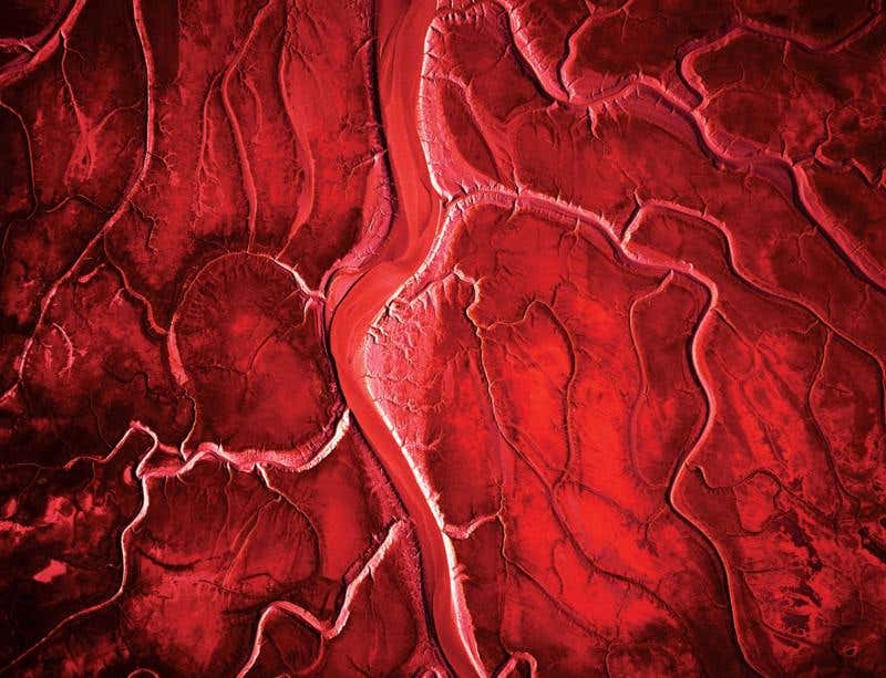 New Scientist. Science news and long reads from expert journalists, covering developments in science, technology, health and the environment on the website and the magazine.