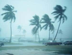 Listen to the music of the drones to forecast weather