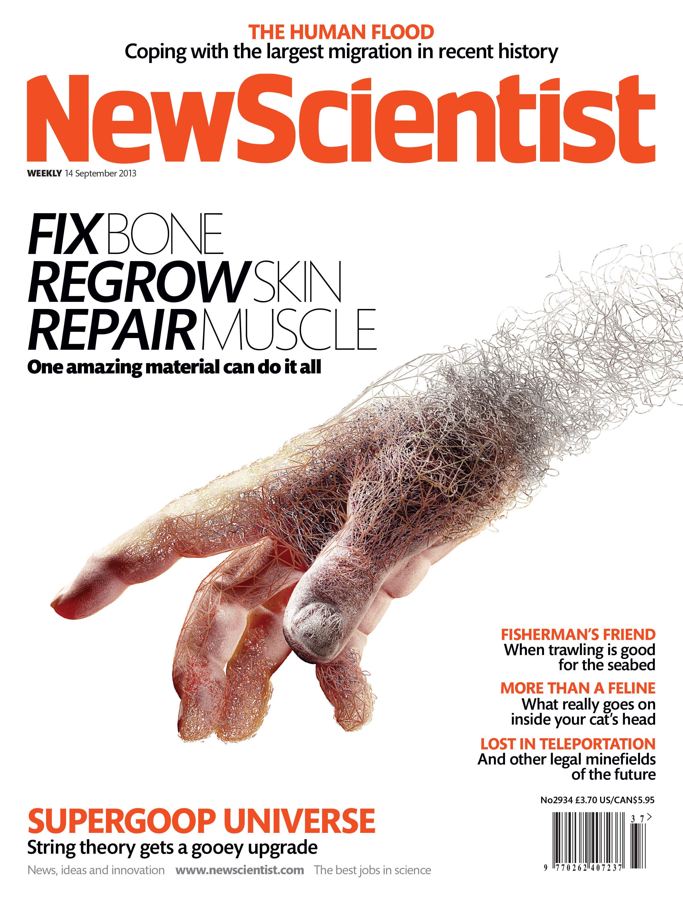 New Scientist issue 2934 cover
