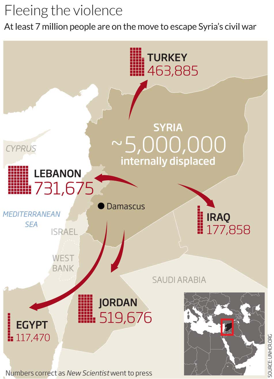 Feeling the violence