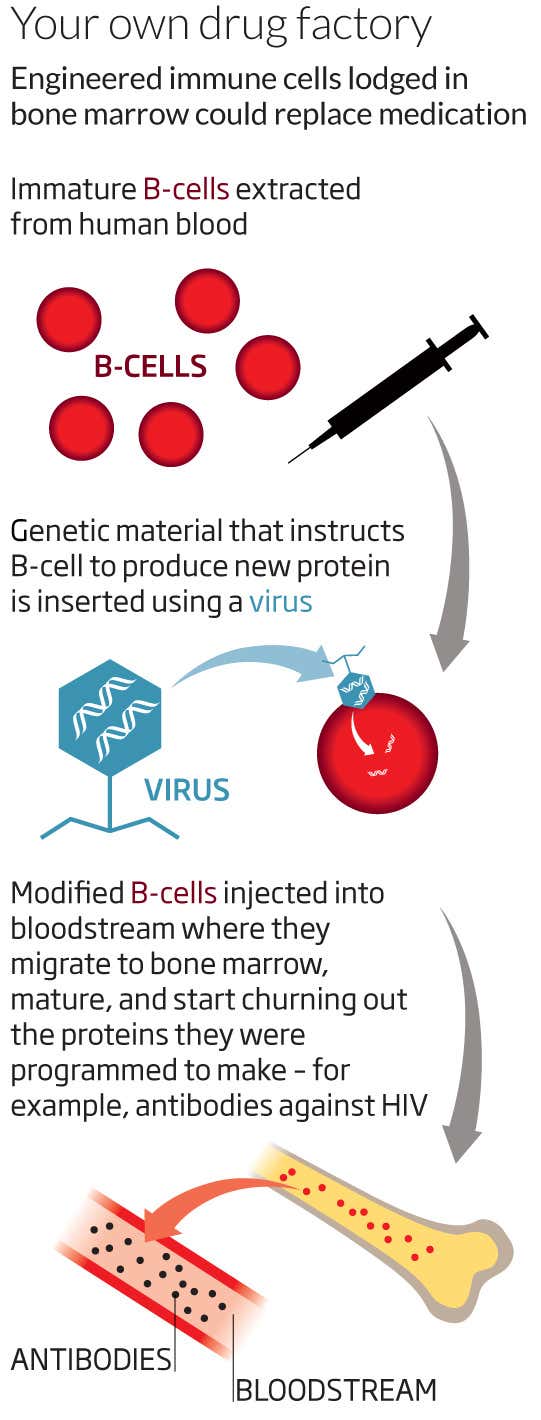 You own drug factory