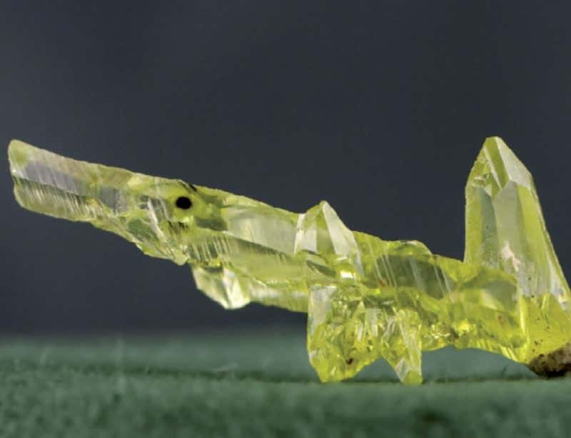 New Scientist. Science news and long reads from expert journalists, covering developments in science, technology, health and the environment on the website and the magazine.