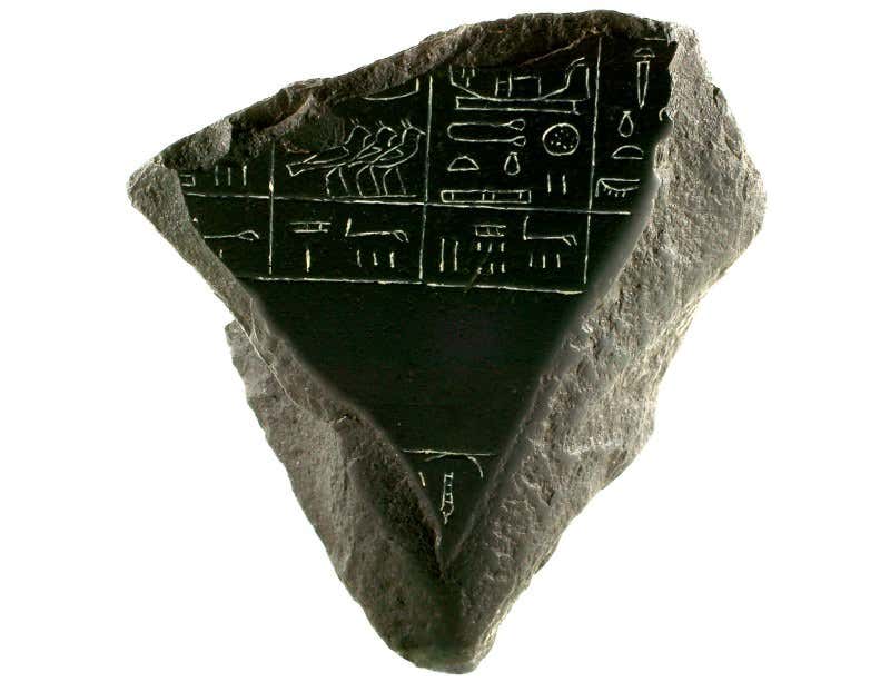 New Scientist. Science news and long reads from expert journalists, covering developments in science, technology, health and the environment on the website and the magazine.