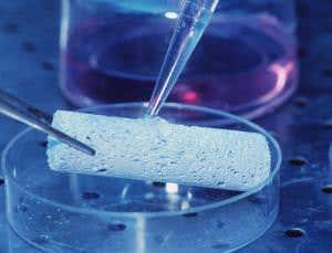 Chemists' clever fakes are better than nature