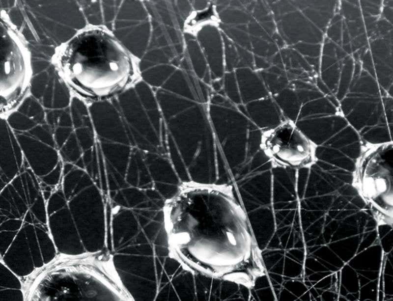 New Scientist. Science news and long reads from expert journalists, covering developments in science, technology, health and the environment on the website and the magazine.