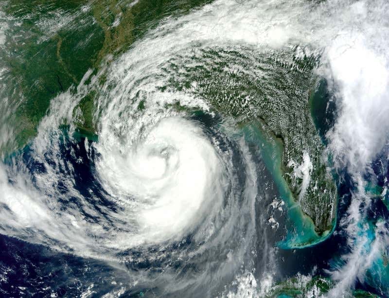 New Scientist. Science news and long reads from expert journalists, covering developments in science, technology, health and the environment on the website and the magazine.