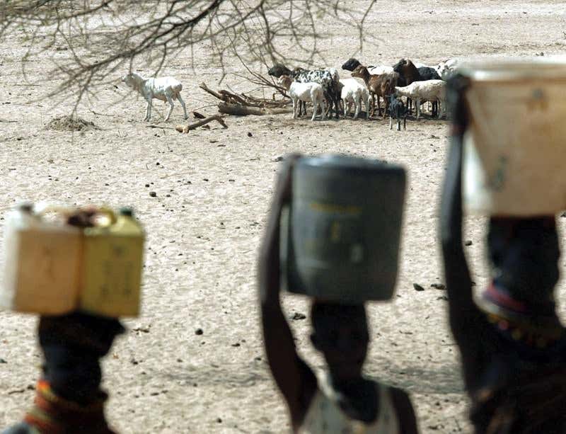 New Scientist. Science news and long reads from expert journalists, covering developments in science, technology, health and the environment on the website and the magazine.