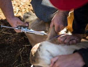 CDC warns of future catastrophic antibiotic resistance