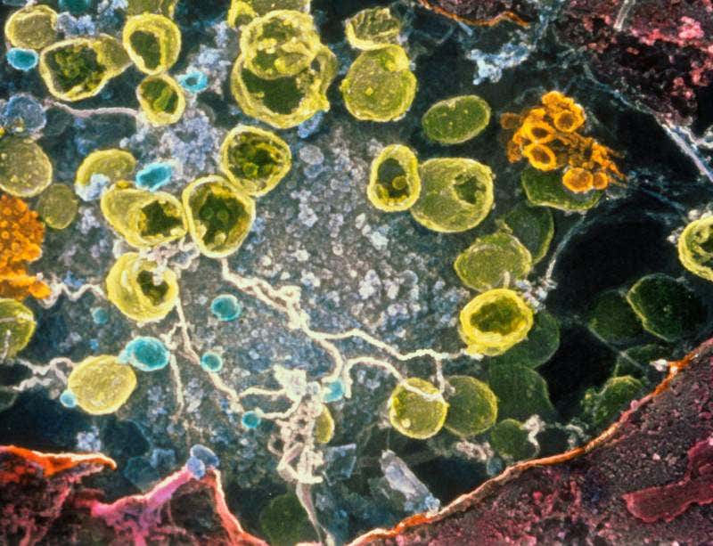 New Scientist. Science news and long reads from expert journalists, covering developments in science, technology, health and the environment on the website and the magazine.