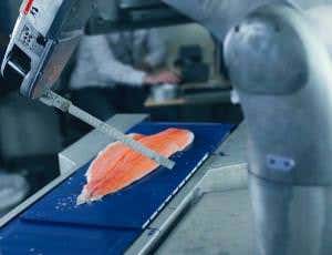Robo-fishmonger uses 3D images to aim its knife