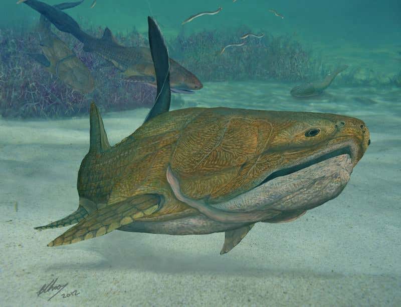 New Scientist. Science news and long reads from expert journalists, covering developments in science, technology, health and the environment on the website and the magazine.