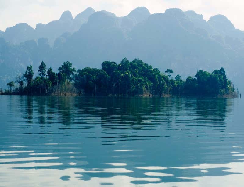 New Scientist. Science news and long reads from expert journalists, covering developments in science, technology, health and the environment on the website and the magazine.