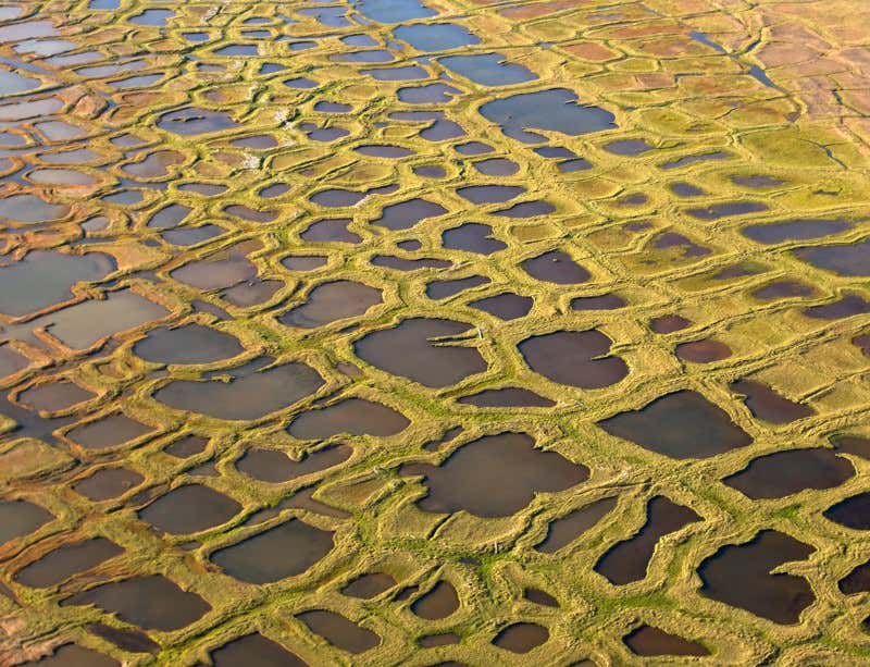 New Scientist. Science news and long reads from expert journalists, covering developments in science, technology, health and the environment on the website and the magazine.