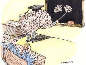 Separating neuromyths from science in education