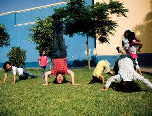 Play your way to evolutionary fitness