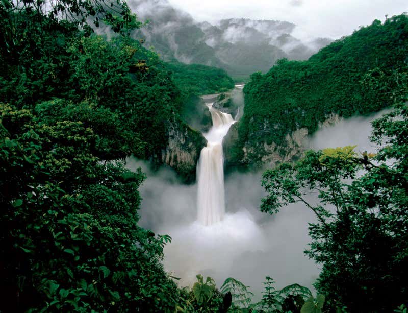 New Scientist. Science news and long reads from expert journalists, covering developments in science, technology, health and the environment on the website and the magazine.