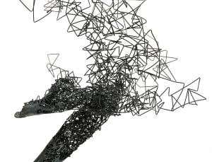 The matrix: the secret to superhealing regeneration