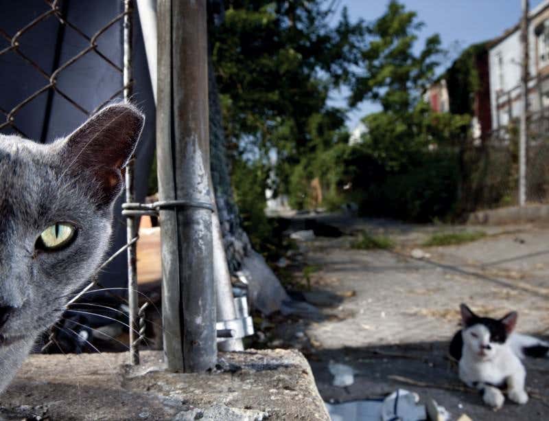 New Scientist. Science news and long reads from expert journalists, covering developments in science, technology, health and the environment on the website and the magazine.
