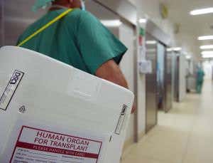 Heart of glass could be key to banking organs