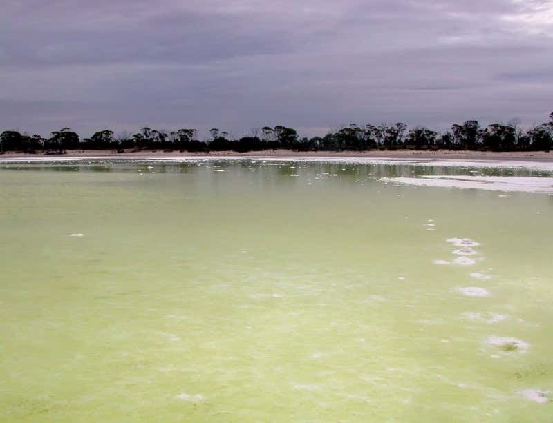 New Scientist. Science news and long reads from expert journalists, covering developments in science, technology, health and the environment on the website and the magazine.