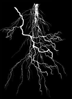 What's brown and soggy and could save the world?