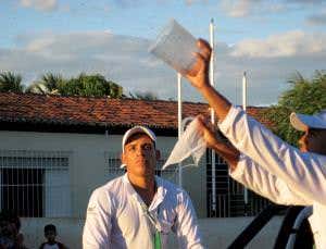 Flotilla of designer insects is new weapon in pest control