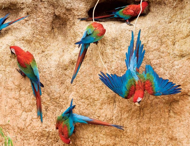 New Scientist. Science news and long reads from expert journalists, covering developments in science, technology, health and the environment on the website and the magazine.