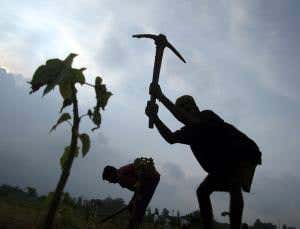 Are some rich firms' land grabs not the real deal?