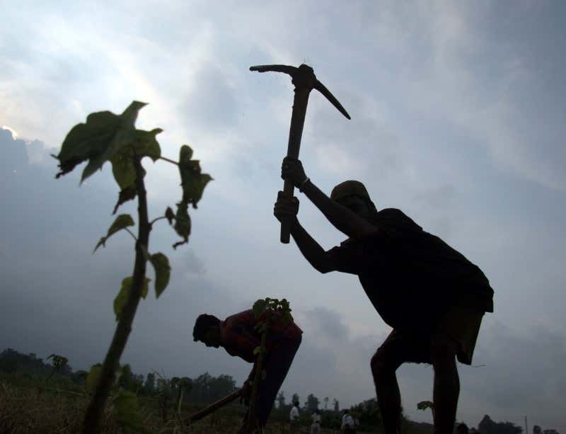 New Scientist. Science news and long reads from expert journalists, covering developments in science, technology, health and the environment on the website and the magazine.